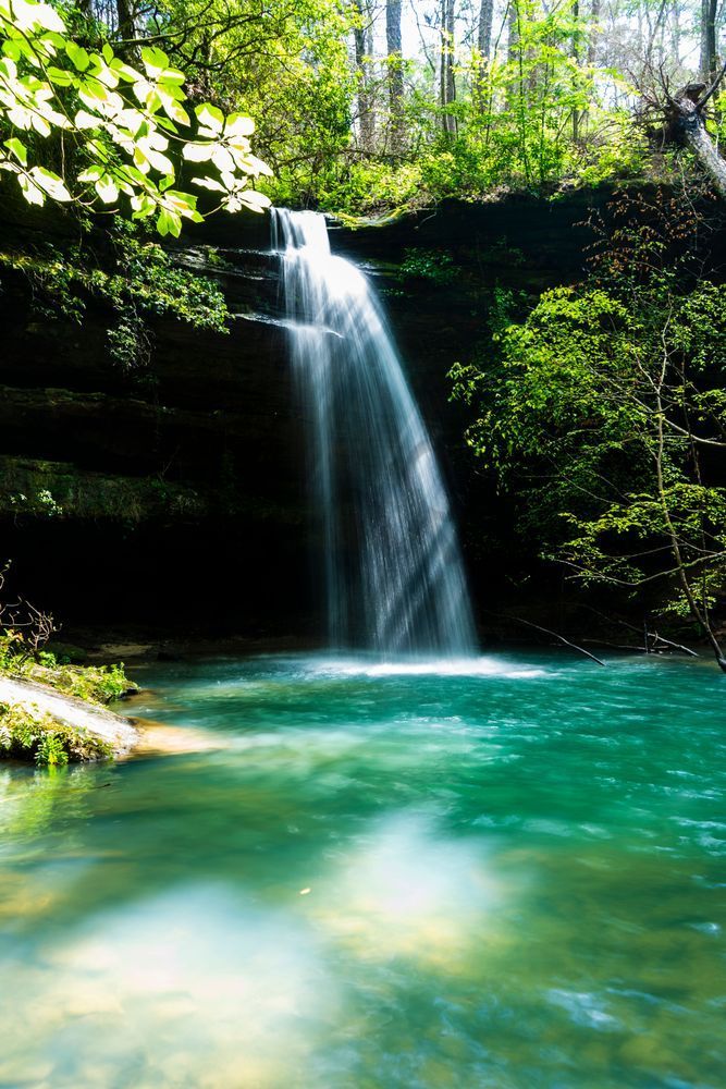 Shangri-La's Emerald Veil - Hidden Falls of Bankhead Forest | bamaprice.com