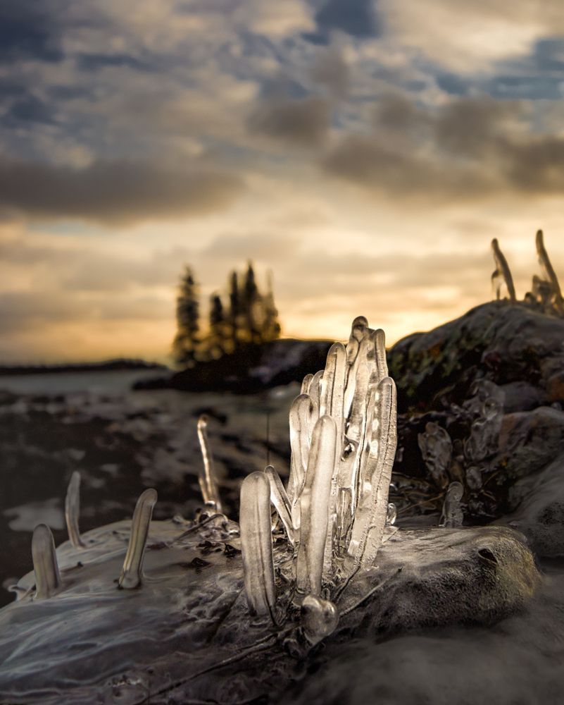 Where Light Finds Me | North Shore Winter Light Fine Art Print