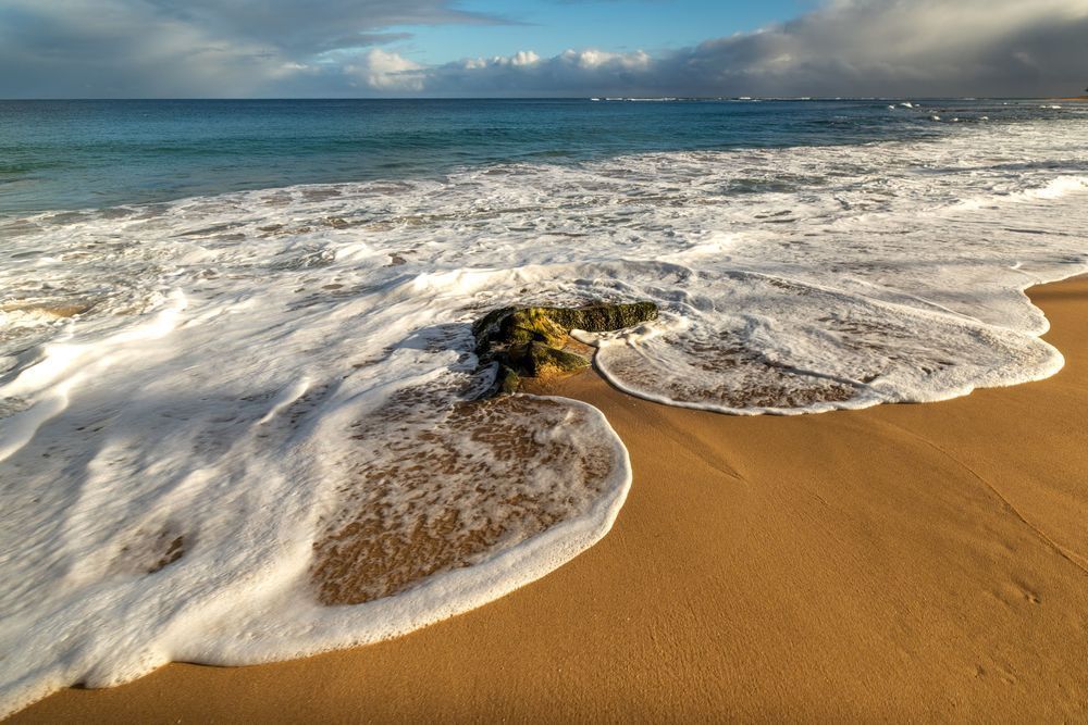 Where the Shore Softens | Kauai Soft Shoreline Fine Art Print