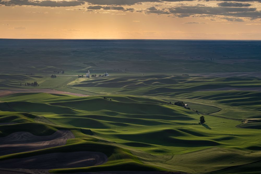 Where the Fields Fold | Palouse Folded Fields Fine Art Print