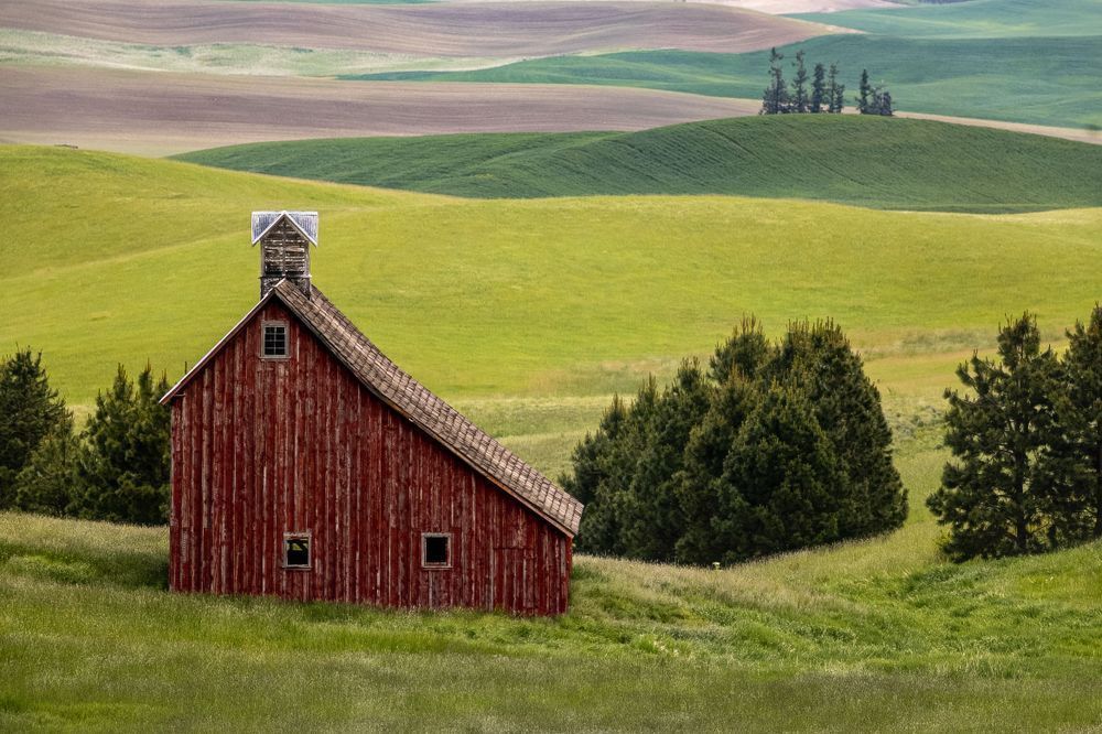 The Red Barn Between Hills | Palouse Red Barn Fine Art Print