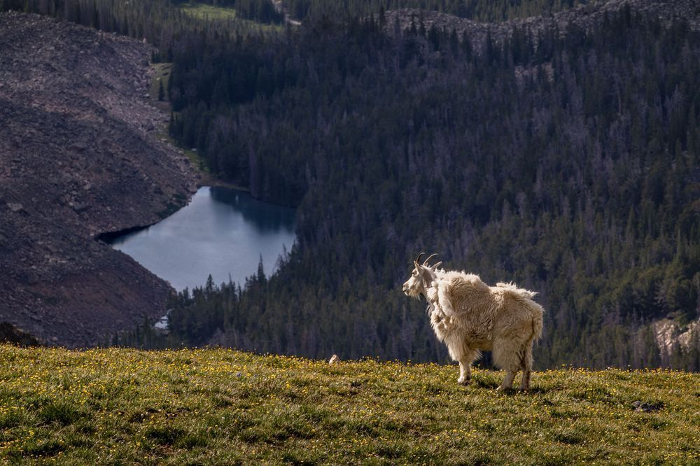 Sentinel Above The Lakes Photography Art | 2bphotographymn.com