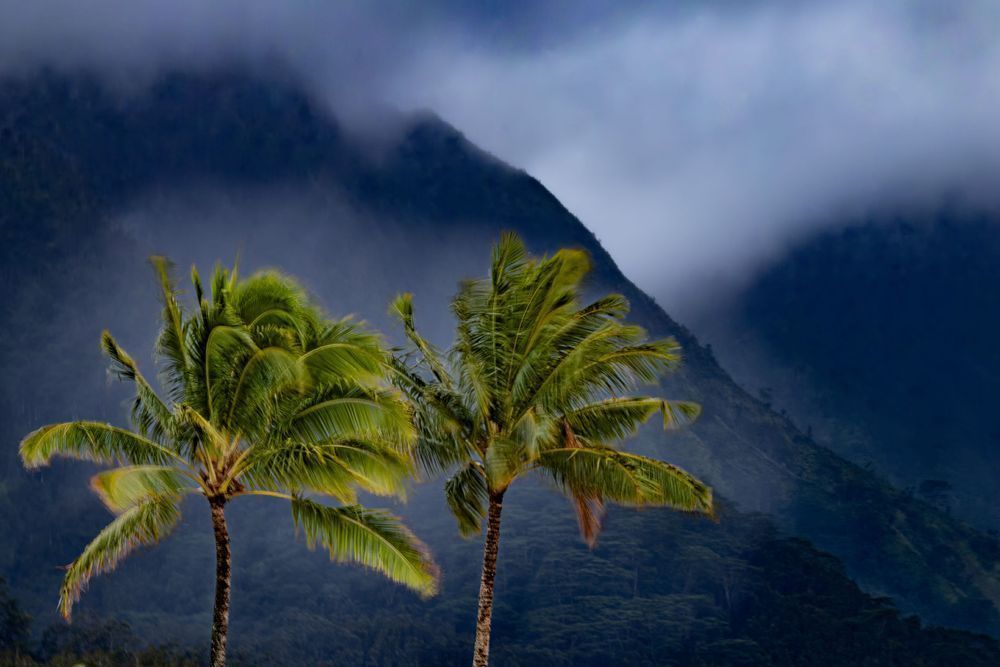 Before the Rain Reached Shore | KauaÊ»i Weather Print