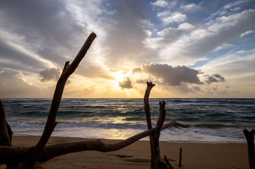 After the Storm Passed Through | KauaÊ»i Shoreline Print