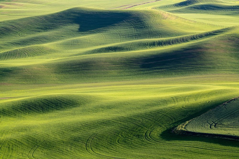 Light Rolling Through | Palouse Rolling Light Fine Art Print
