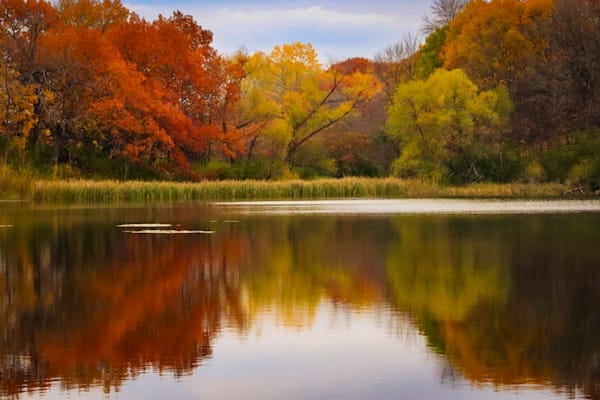 Canvas of Fall