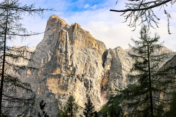 A Realm of Rock and Pine