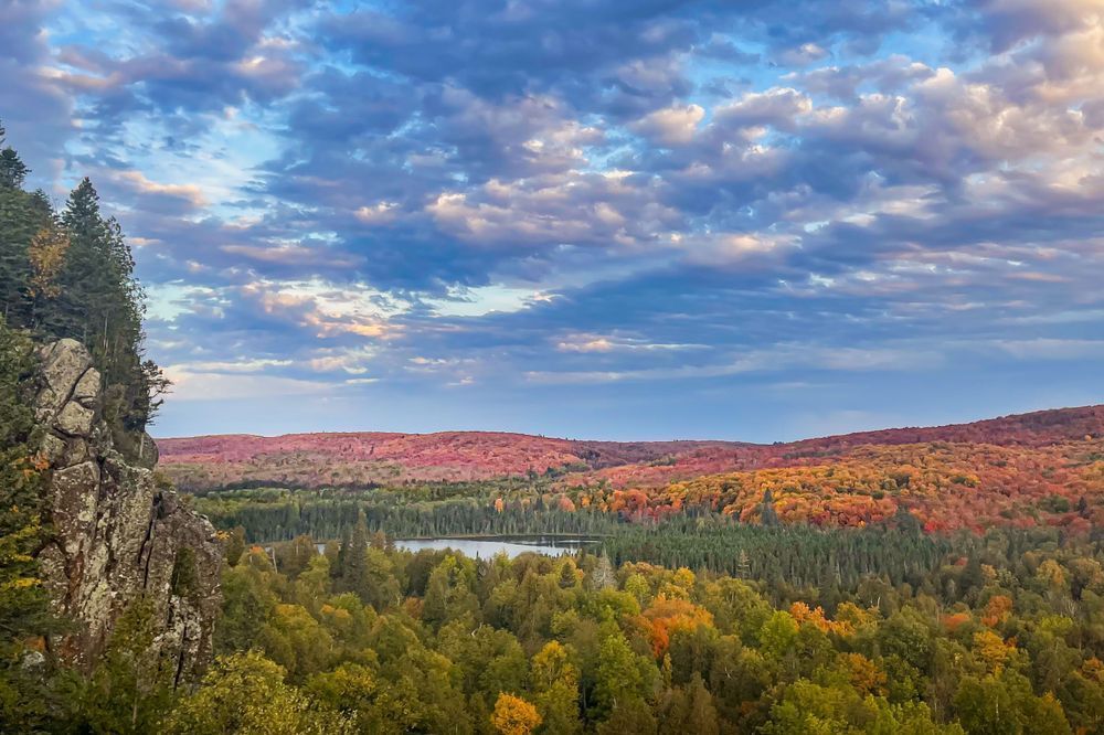 Autumn Above Oberg | Oberg Mountain Fall Overlook Fine Art Print