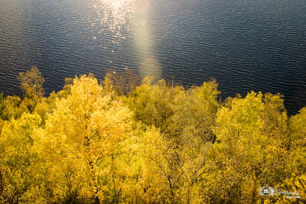 Golden Renewal