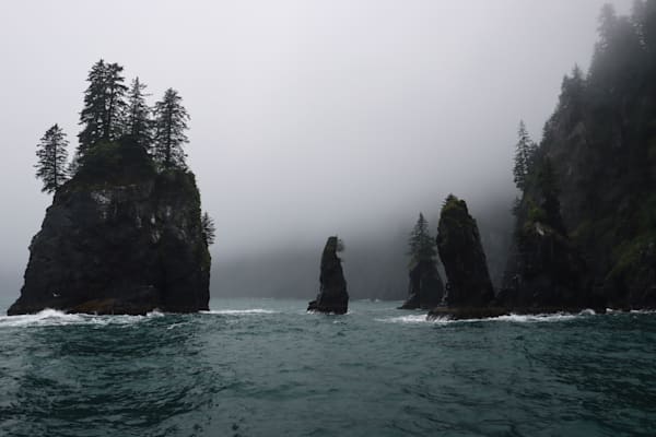 In the Heart of the Coastal Mist