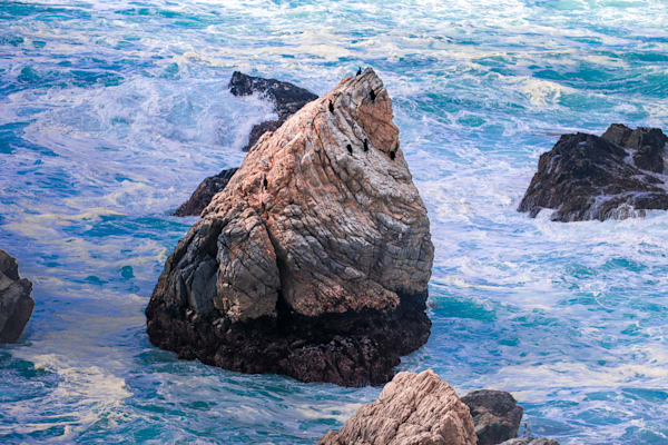 Rocky Resilience
