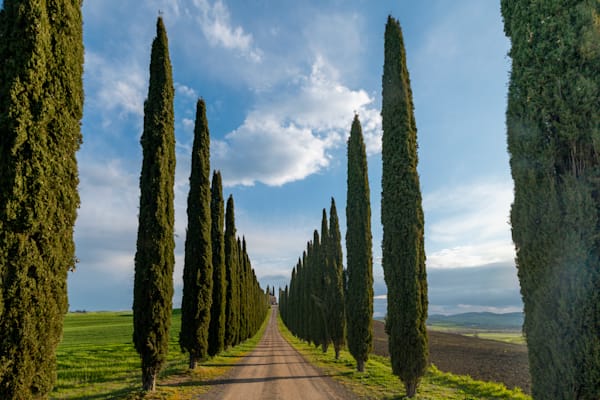 The Road to Silence