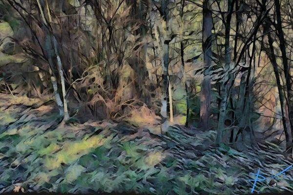 Winter Watershed Art | Cynthia DuVal Creative Studio