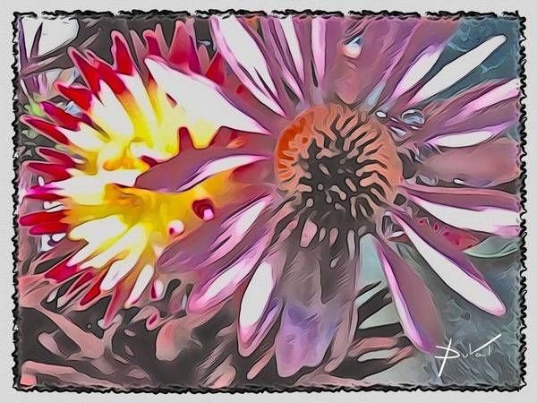Dark Clouds Over Summer Flowers Art | Cynthia DuVal Creative Studio