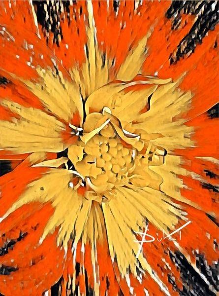 Orange Dahlia At Night Art | Cynthia DuVal Creative Studio