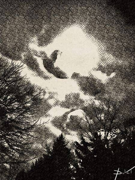 January Moon Glow #2 Art | Cynthia DuVal Creative Studio