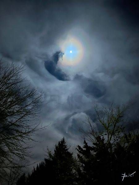 January Moon Glow #1 Art | Cynthia DuVal Creative Studio