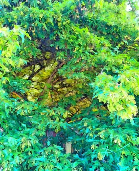 Into The Canopy Art | Cynthia DuVal Creative Studio
