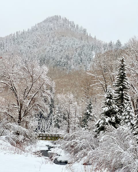 Winter Bridge