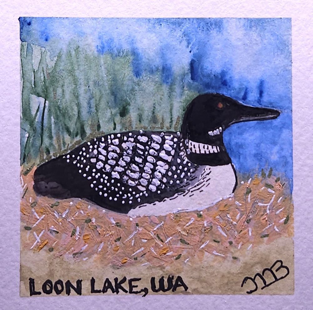 Common Loon Nesting Art | Left Brain Creative - Art by JMB
