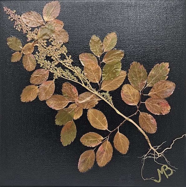Botanical