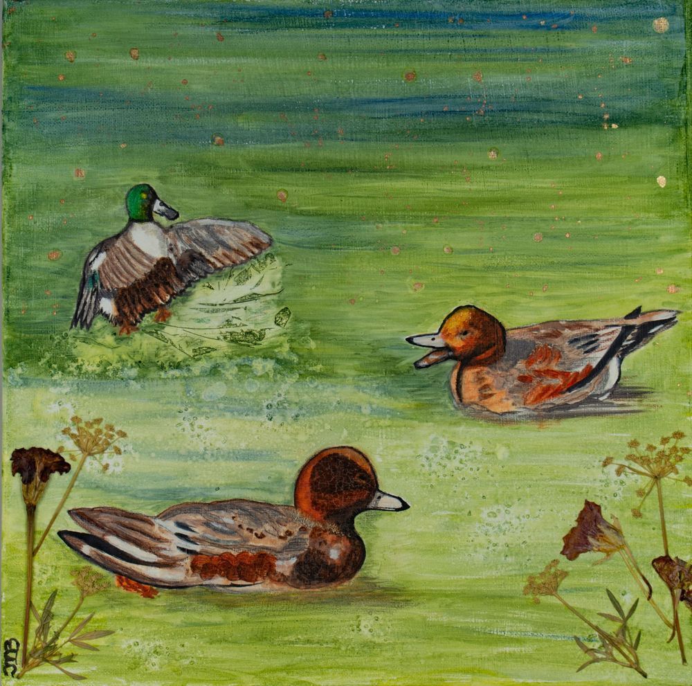 Osaka Ducks Art | Left Brain Creative - Art by JMB