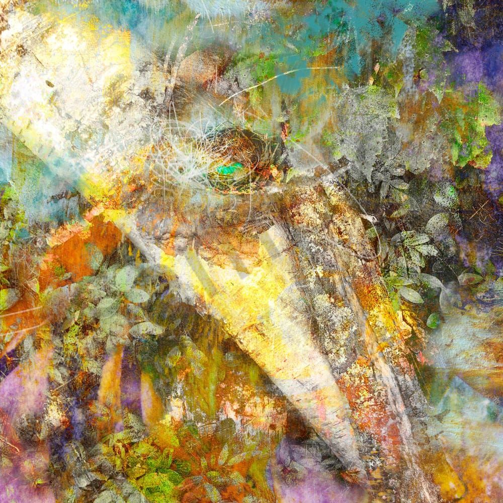 Nested Whispers Art | Catherine Fine Art