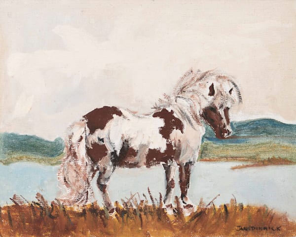 Animals