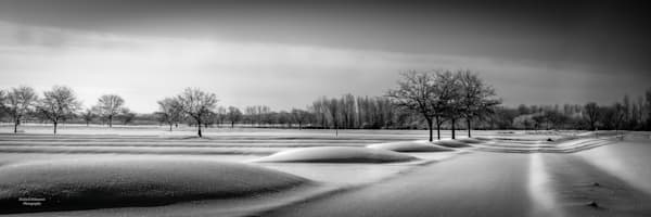 Black and White
