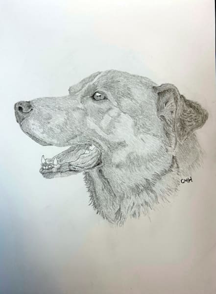 Commissions