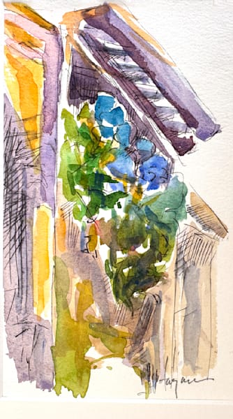 Capalbio Giardino by Dorothy Fagan
