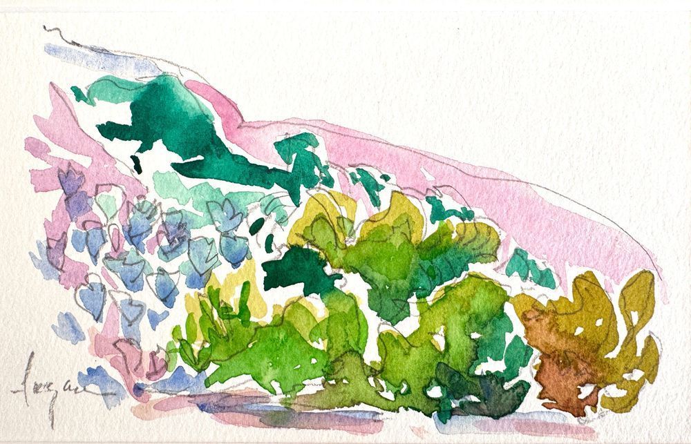 Olives on the Hillside by Dorothy Fagan