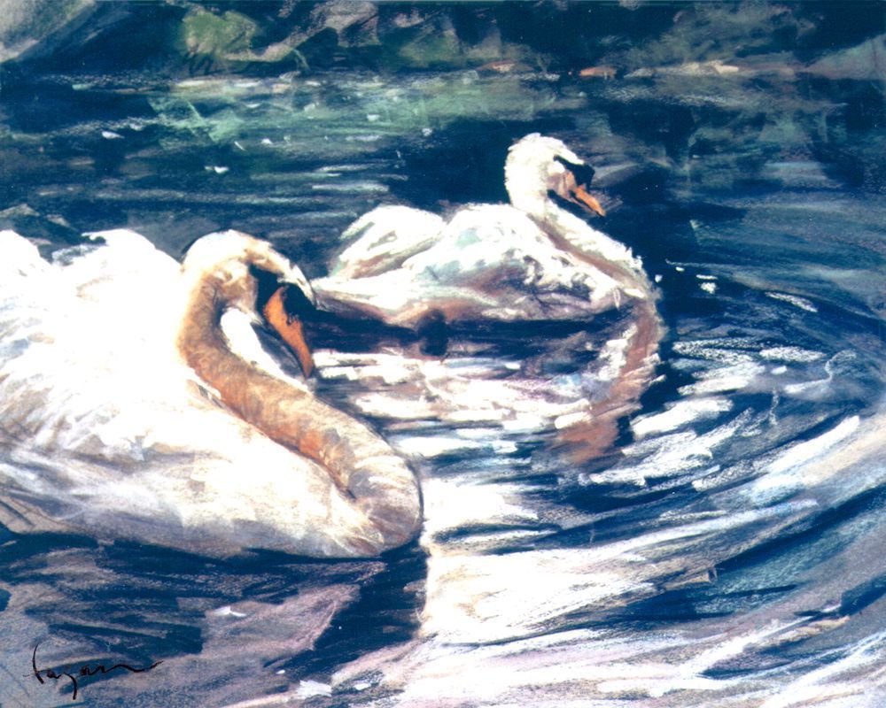 Hatcher's Swans Painting Print by Dorothy Fagan
