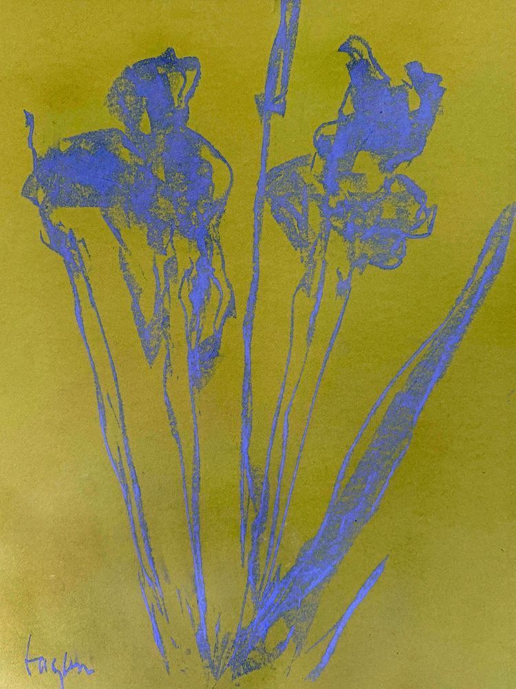 Iris I by Dorothy Fagan Botanical Essence Fine Arts