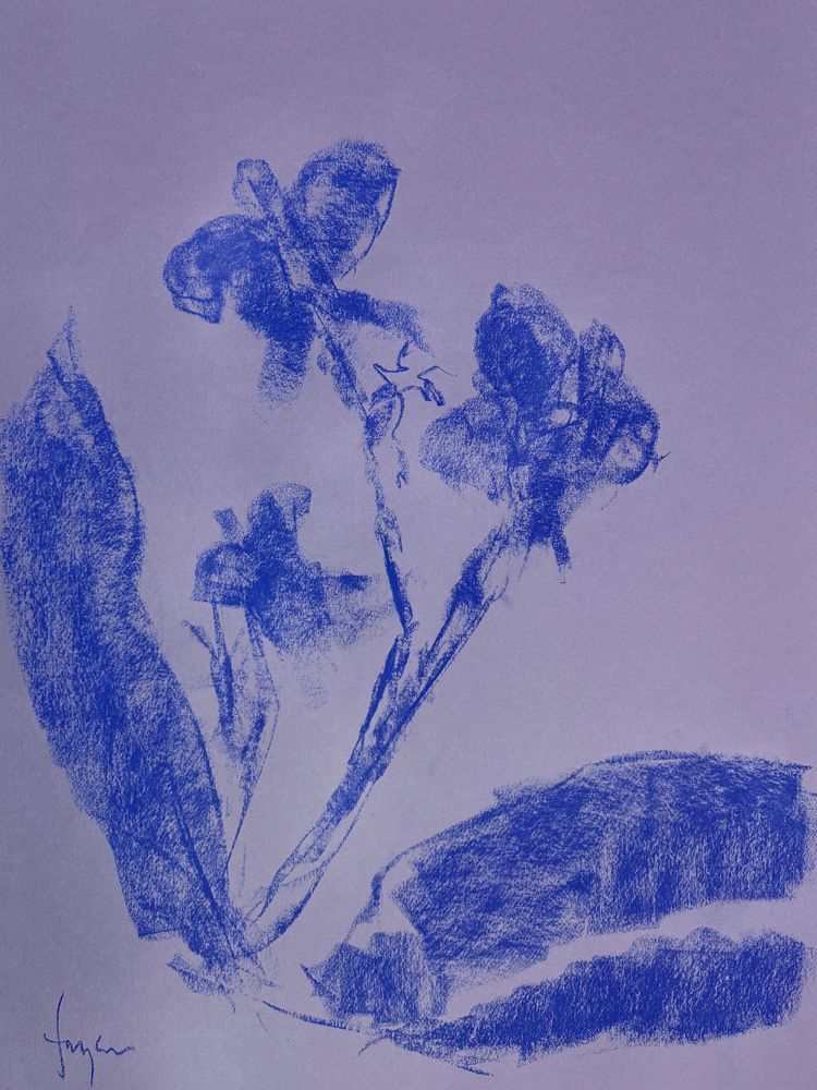 Orchid Sisters Blue by Dorothy Fagan Botanical Essence Fine Arts