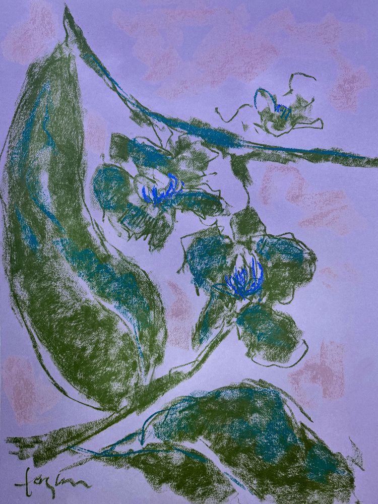 Orchid Sisters III by Dorothy Fagan Botanical Essence Fine Arts