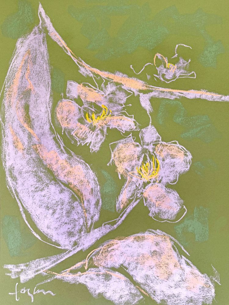 Orchid Sisters III by Dorothy Fagan Botanical Essence Fine Arts