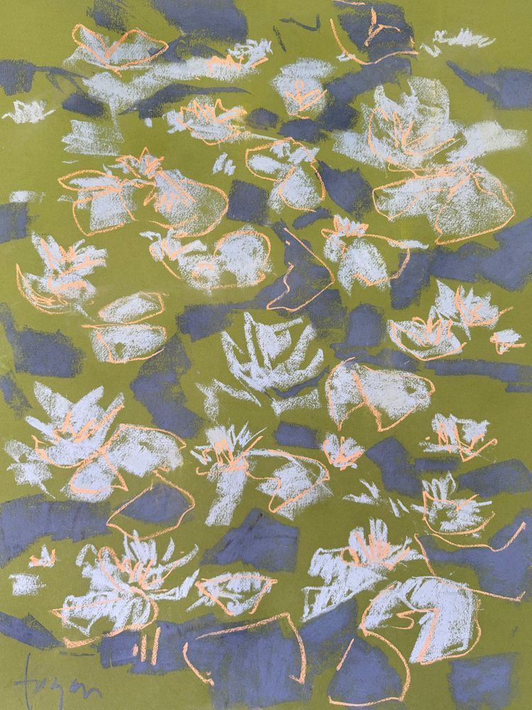 Lily Pond by Dorothy Fagan Botanical Essence Fine Arts