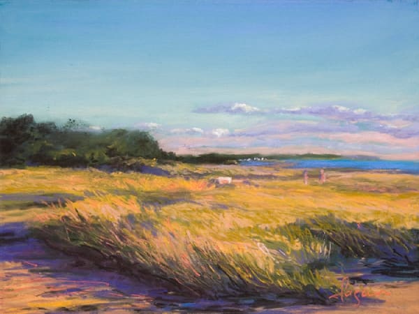 Cape Cod, Wellsfleet Painting Fine Art Print by Dorothy Fagan
