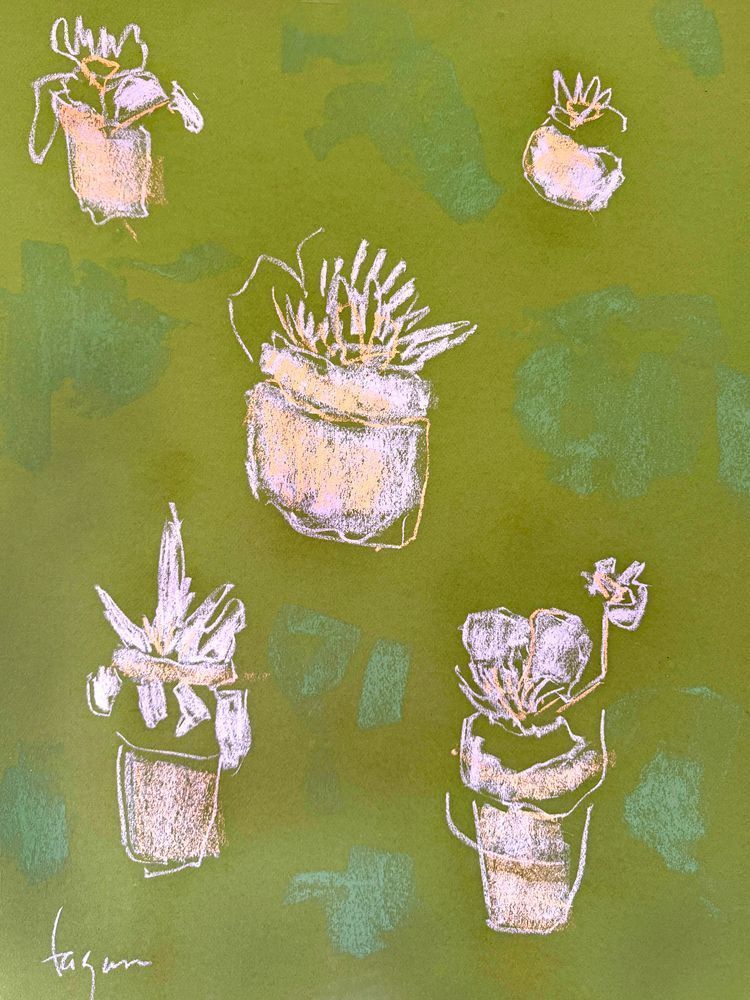 Potted Blessings | Dorothy Fagan Botanical Essence Limited Edition