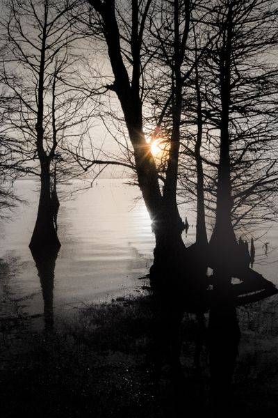 The Whispers Collection
