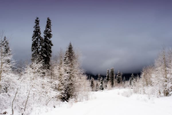 Winter is Here
