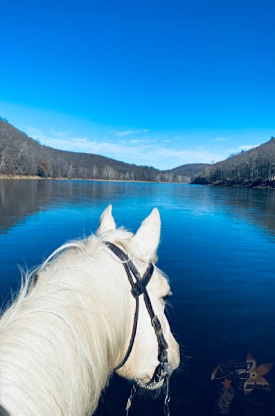 Blue Lake Horse Art | Reflections of Glory
