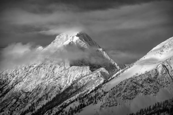 Mountain Mews Art | Nelson Fine Art Printing