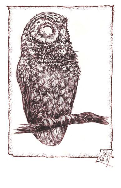 Prints