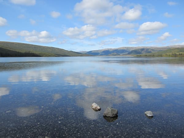 LANDSCAPES