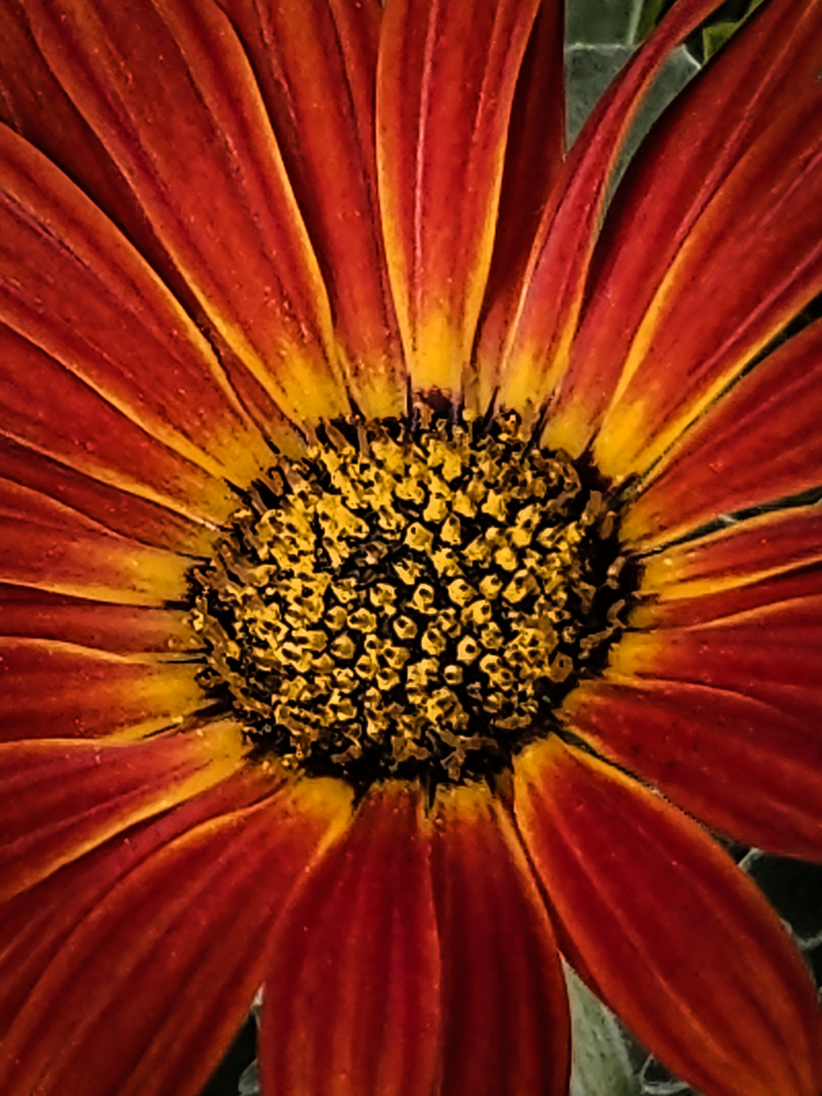 2026 05 23 11.53.29 Photography Art | James H Egbert's Silver Branch Studios