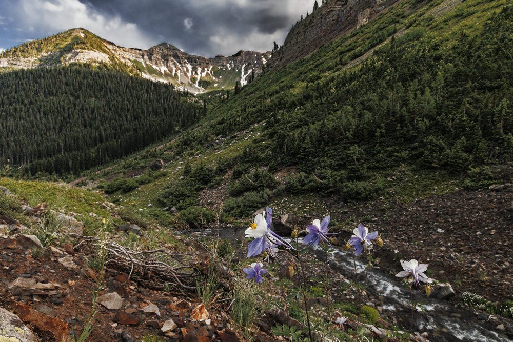 07012025 Crested Butte Hec2016 Photography Art | James H Egbert's Silver Branch Studios