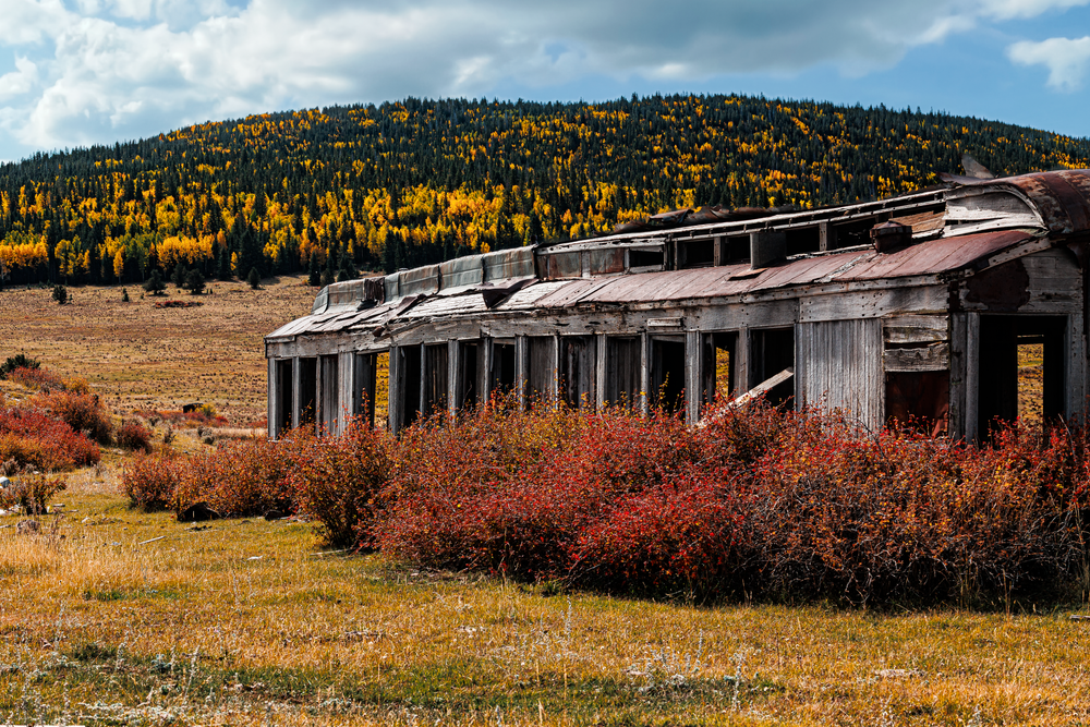End of the Line - Captivating Autumn Landscape Photography