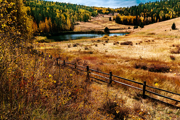 Autumn Serenity - Colorado Landscape Photography